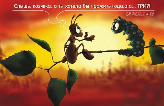 VFL.RU -  