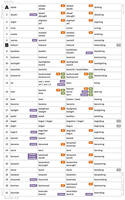 610 Irregular Verbs Bright Mode 01