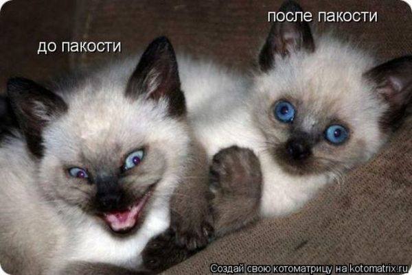 VFL.RU -  