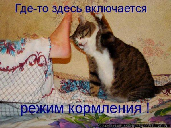 VFL.RU -  