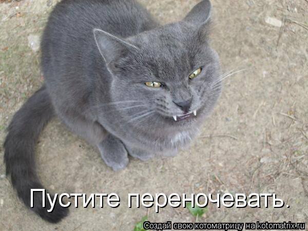 VFL.RU -  