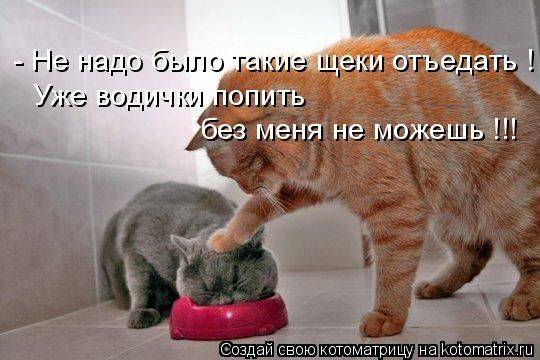 VFL.RU -  