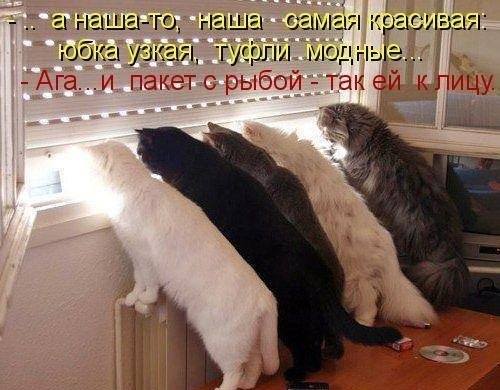 VFL.RU -  