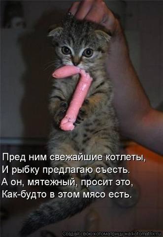 VFL.RU -  