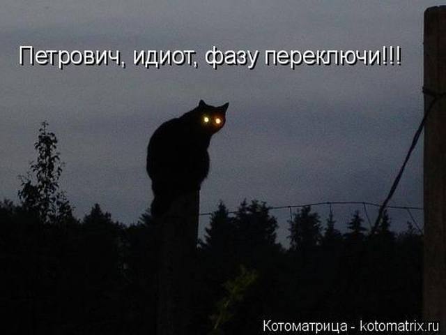 VFL.RU -  
