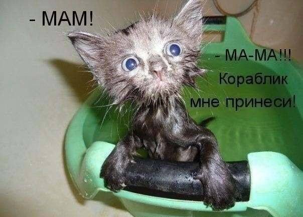 VFL.RU -  