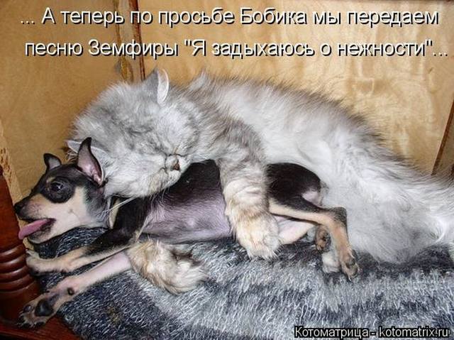 VFL.RU -  