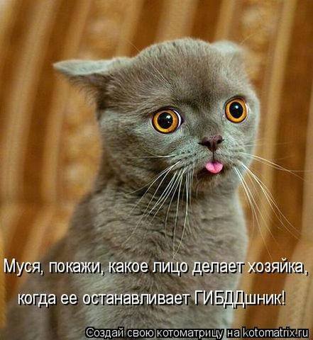 VFL.RU -  
