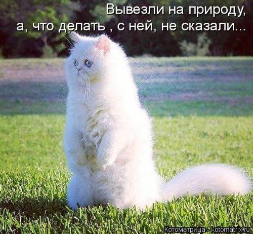 VFL.RU -  