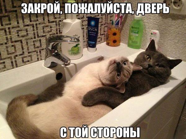 VFL.RU -  