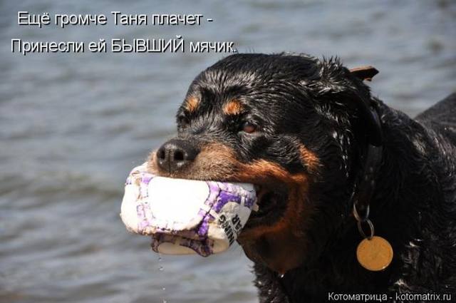 VFL.RU -  