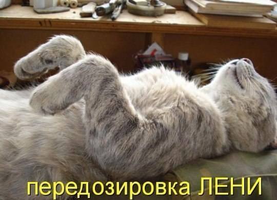 VFL.RU -  