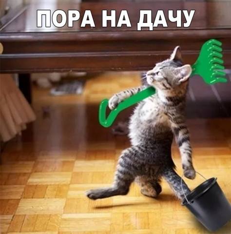 VFL.RU -  