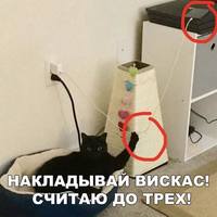 VFL.RU - ваш фотохостинг
