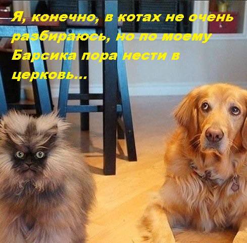 VFL.RU -  