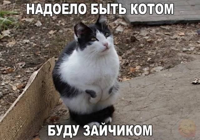 VFL.RU -  