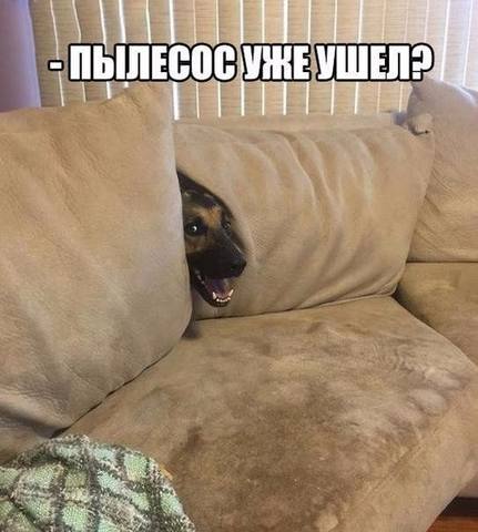 VFL.RU -  