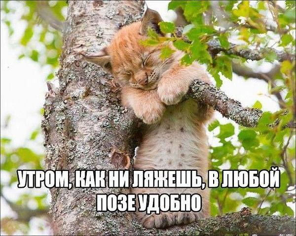 VFL.RU -  