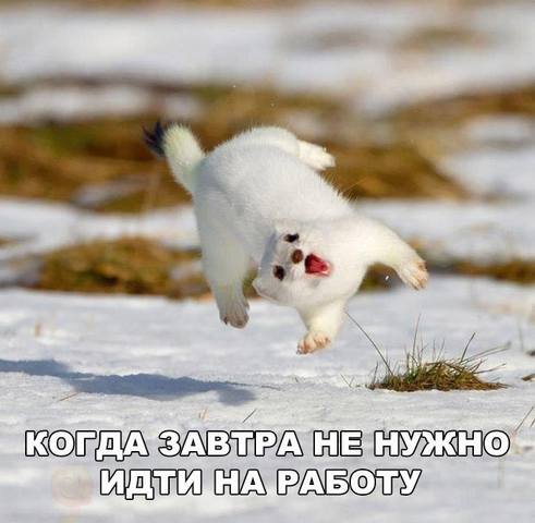 VFL.RU -  