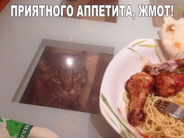VFL.RU -  