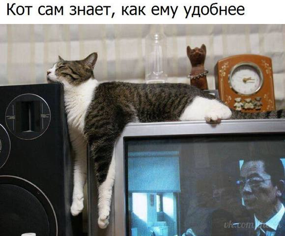 VFL.RU -  
