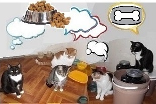 Мечты - копия