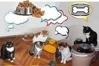 Мечты - копия