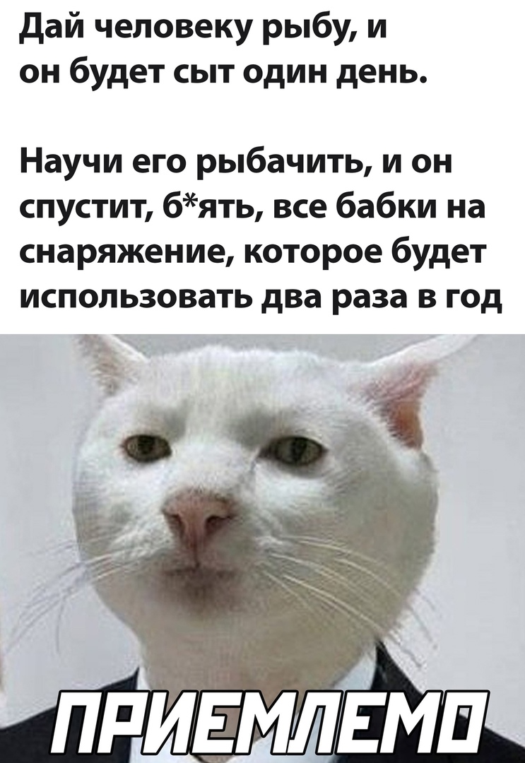 34567791.jpg