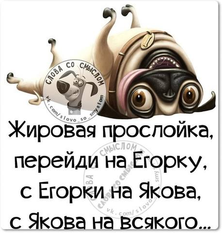 VFL.RU -  