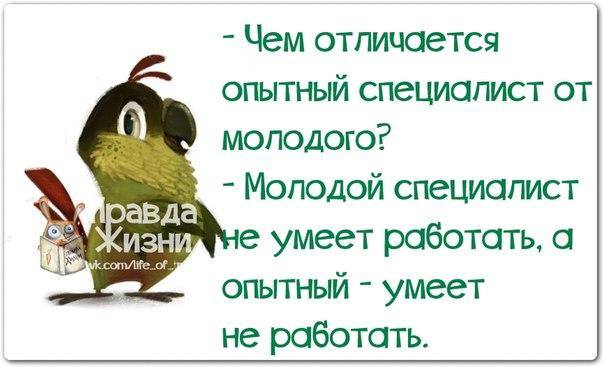 VFL.RU -  