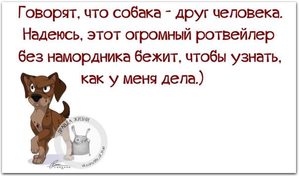 VFL.RU -  