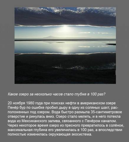 poz1 23