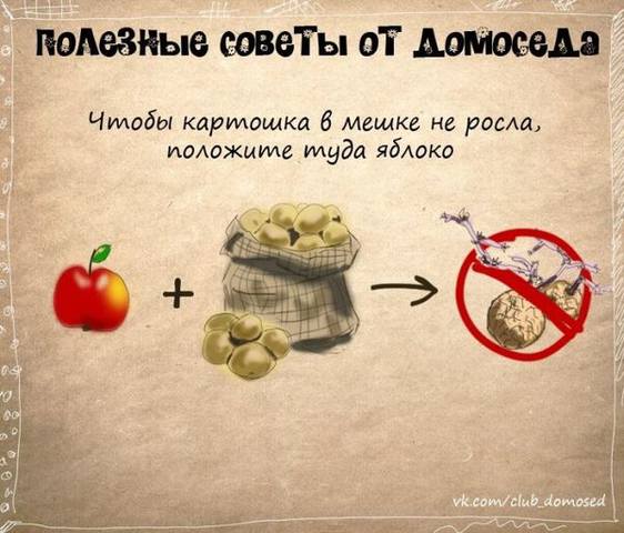 VFL.RU -  