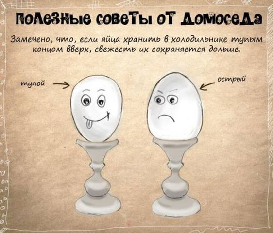 VFL.RU -  