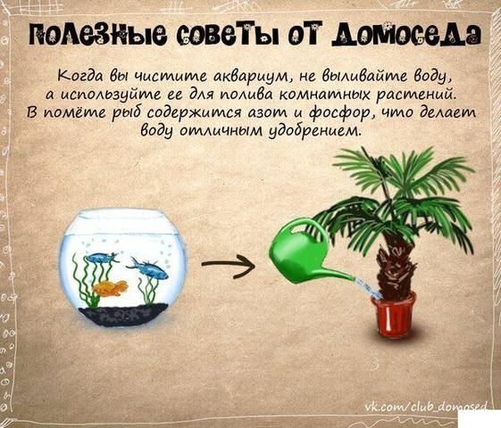 VFL.RU -  