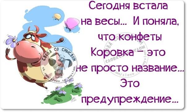 VFL.RU -  