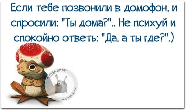 VFL.RU -  
