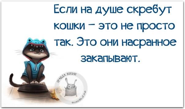 VFL.RU -  