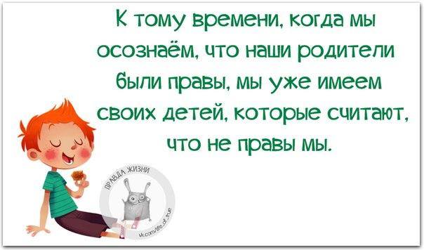 VFL.RU -  