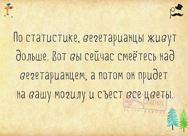 VFL.RU -  