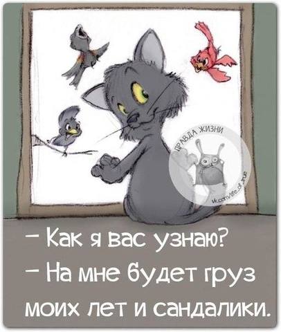 VFL.RU -  