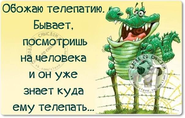 VFL.RU -  