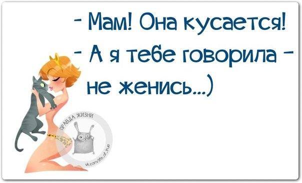 VFL.RU -  