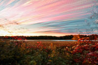 фотохдожник Matt Molloy1