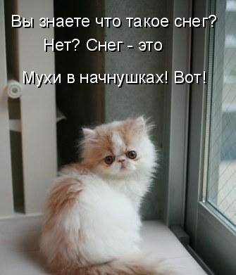 VFL.RU -  