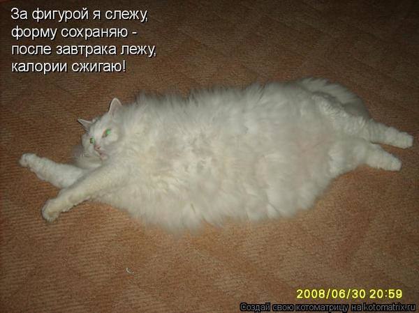 VFL.RU -  