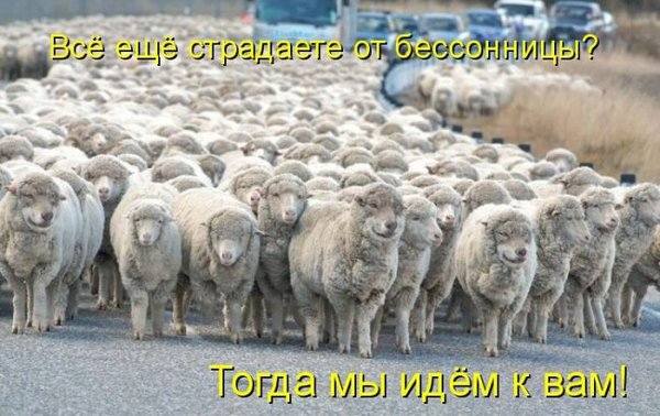 VFL.RU -  