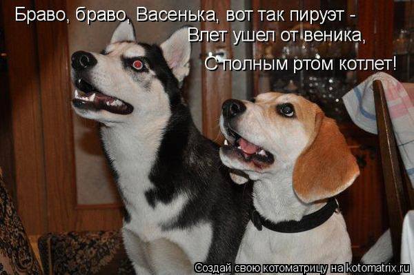 VFL.RU -  