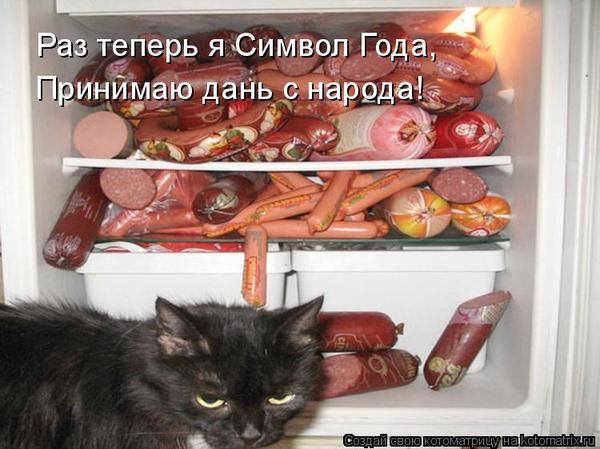 VFL.RU -  