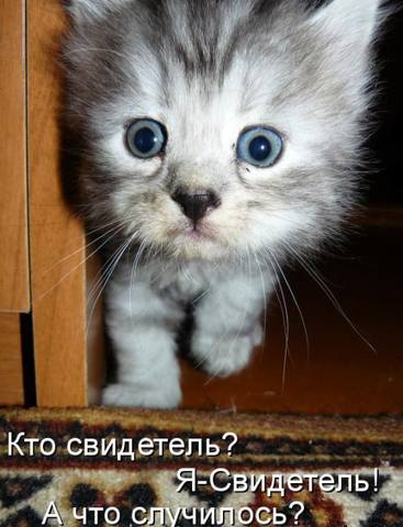 VFL.RU -  